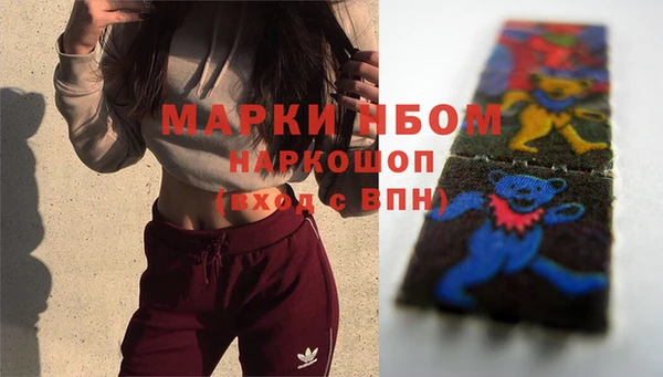 соль ск Новодвинск