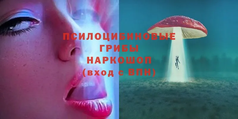 Псилоцибиновые грибы Magic Shrooms  Красноуфимск 