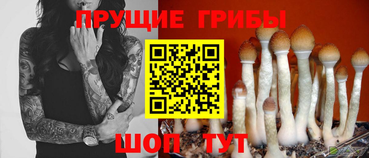 Галлюциногенные грибы мицелий Красноуфимск